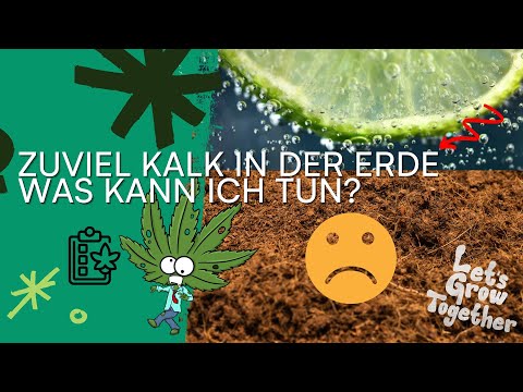 Zu viel Kalk in der Erde - Was kann ich tun?  | LIG Stecklinge & Frankenstein Projekt Update