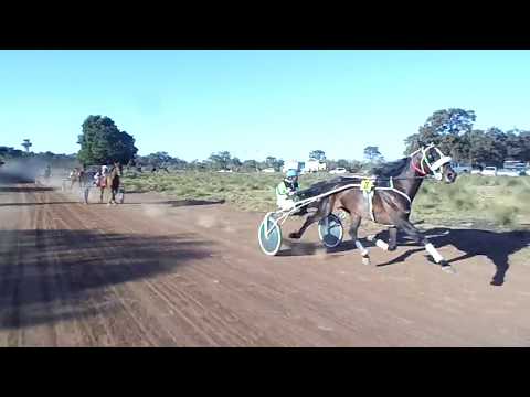 1.ranquel 3.01.85. 2.passion 3.04. 45. 3.claridad. 4.wonder. 5.estrago.