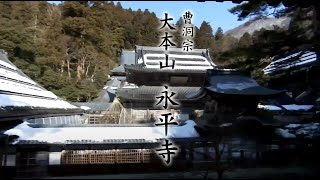 動画3