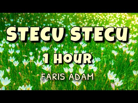Stecu Stecu (1 Hour) - Faris Adam