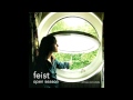 Feist - The Simple Story