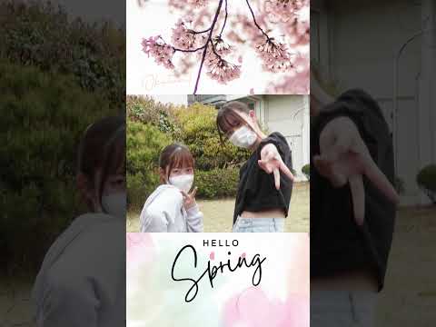 【おかたん】Hello Spring♪ #Shorts