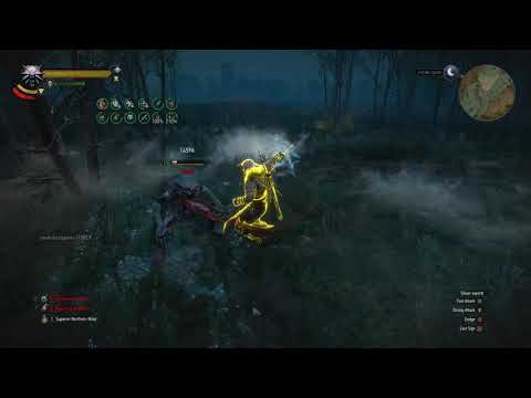 Witcher 3 - Lvl 100 Euphoria Build - OP BUILD - DEATH MARCH