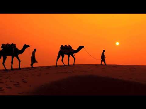 Mr.Tababa__Nolliwiz, Scope Dorn, Kana Soundboi, Shatta Boi & Aymen Smoka Official Audio 2024 Music