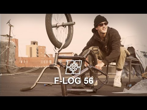 F-LOG 56: FALL NICHT VOM DACH, AUGIE!