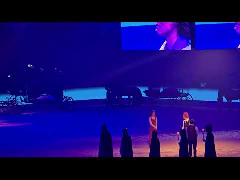 Stal Okkema's pair - Simon & Trevor  - Stallions