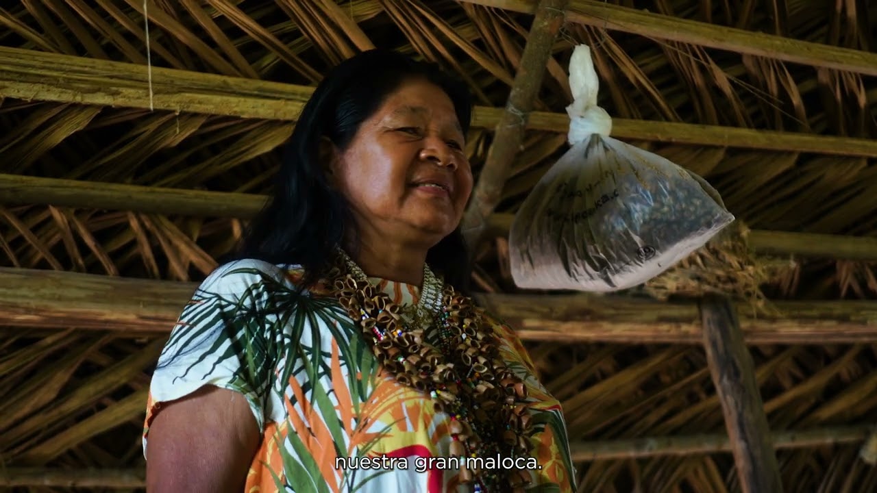 Hijos de la tierra: el legado Koreguaje para proteger Caquetá