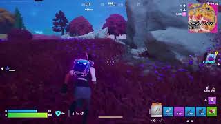 PS5 FORTNITE 「エージェント・ルッティー」 #287 ラガルト Live