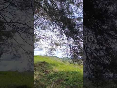 En las montañas de Santo Domingo Antioquia🍃#naturaleza #travel #turismo #viajar#colombia #antioquia