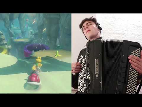 Mario Kart but its on accordion (Dolphin Shoals solo)