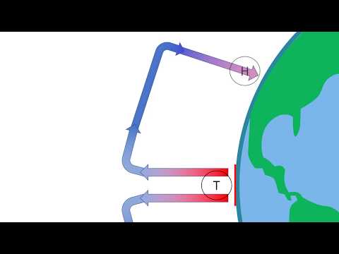 Erklärvideo tropische Zirkulation