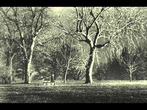 The Observance cover
