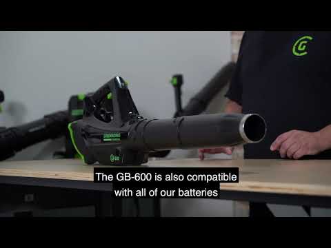 2021 GREENWORKS Handheld Blower in Lancaster, South Carolina - Video 1