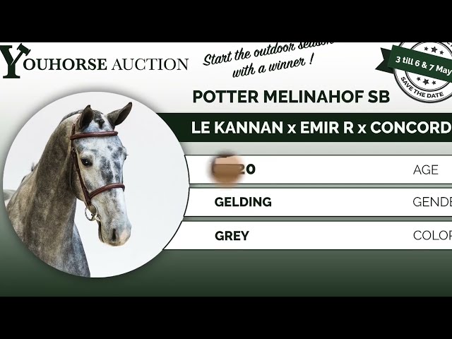Potter Melinahof SB flatwork