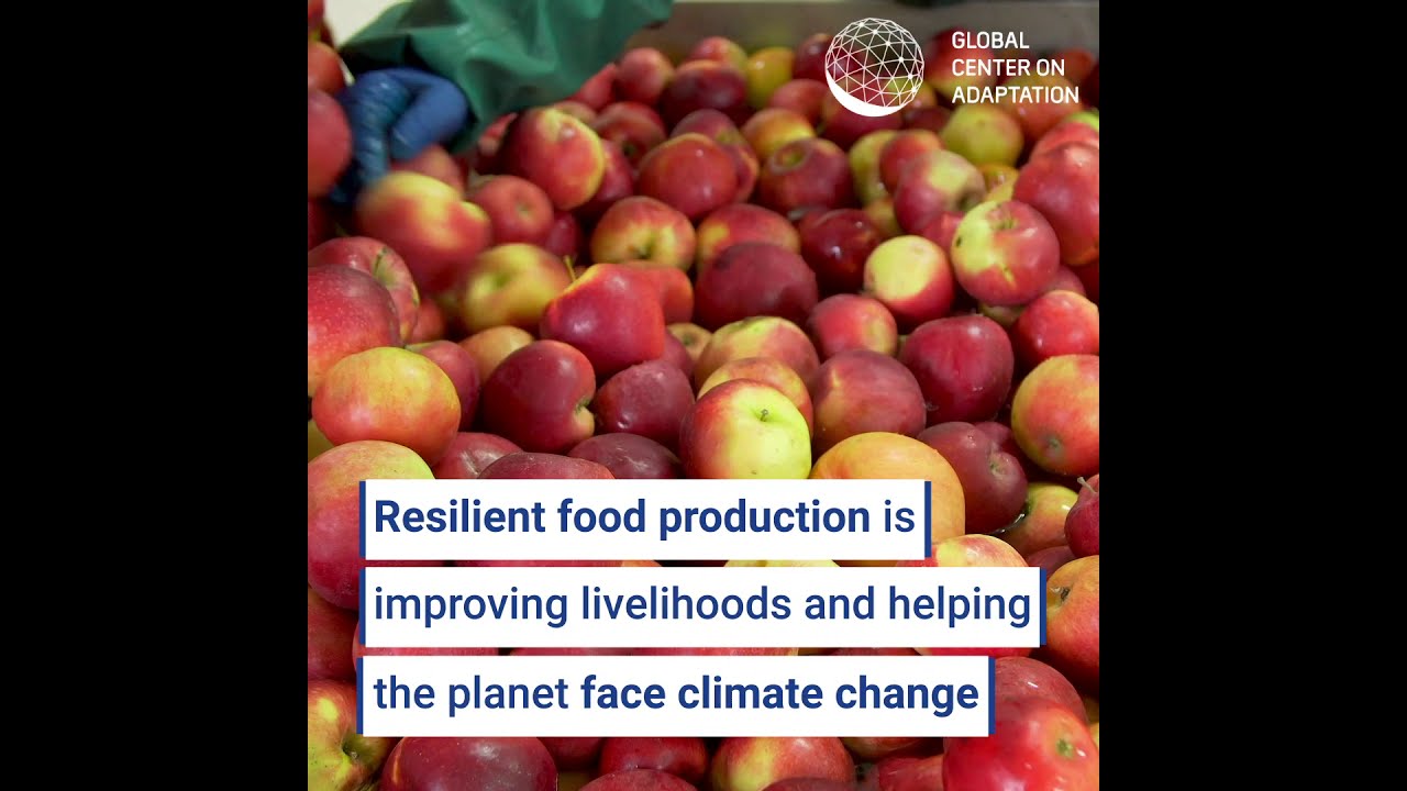 The Agritech Revolution