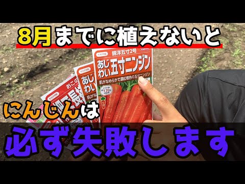 ニンジンの隣に何を植えますか?その理由は何ですか?  庭園