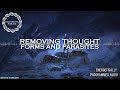 Removing Thought Forms and Parasites / Energetically Programmed Audio / Maitreya Reiki™