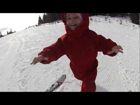 130223 la partia toplita (.ro)