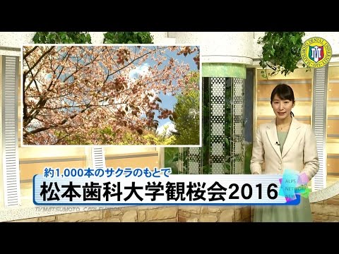 松本歯科大学2016観桜会［ニュース映像］