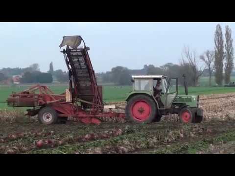Landb. Vandewalle - Lichtervelde - Fendt Farmer 103 S - Fendt Farmer 305 LS