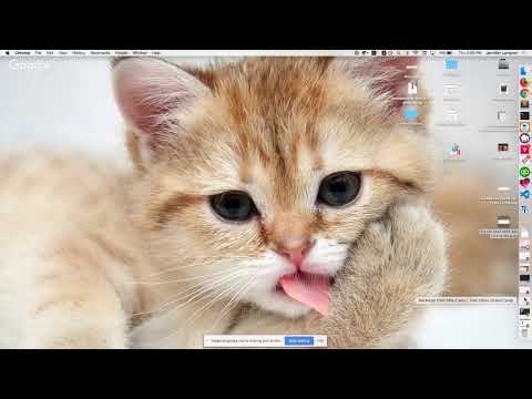 Configuration management in Backdrop CMS - Backdrop Mini-