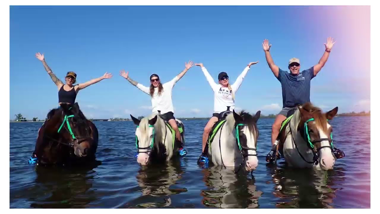 Magical Day with the C Ponies in Bradenton, FL ✨🐬