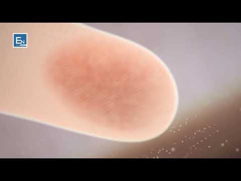 Mrekullite e Kur'anit! Shenjat e gishtave! Zbulimi shkencor i permendur ne Kur'an!