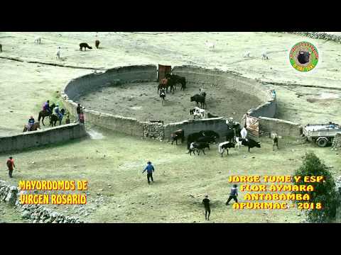 MAYORDOMOS DE VIRGEN ROSARIO - JORGE TUME Y ESP. FLOR AYMARA