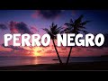 Bad Bunny - PERRO NEGRO (Letra/Lyrics)