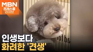 유튜브 썸네일