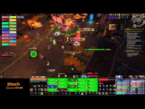 Last Exile vs. Beastlord Darmac First Kill Mythic (Restoration Druid PoV)