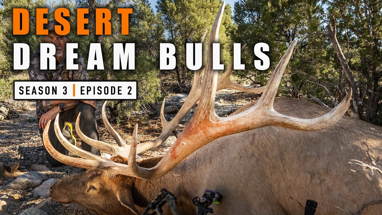 S3E2 Desert Dream Bulls - PUBLIC LAND
