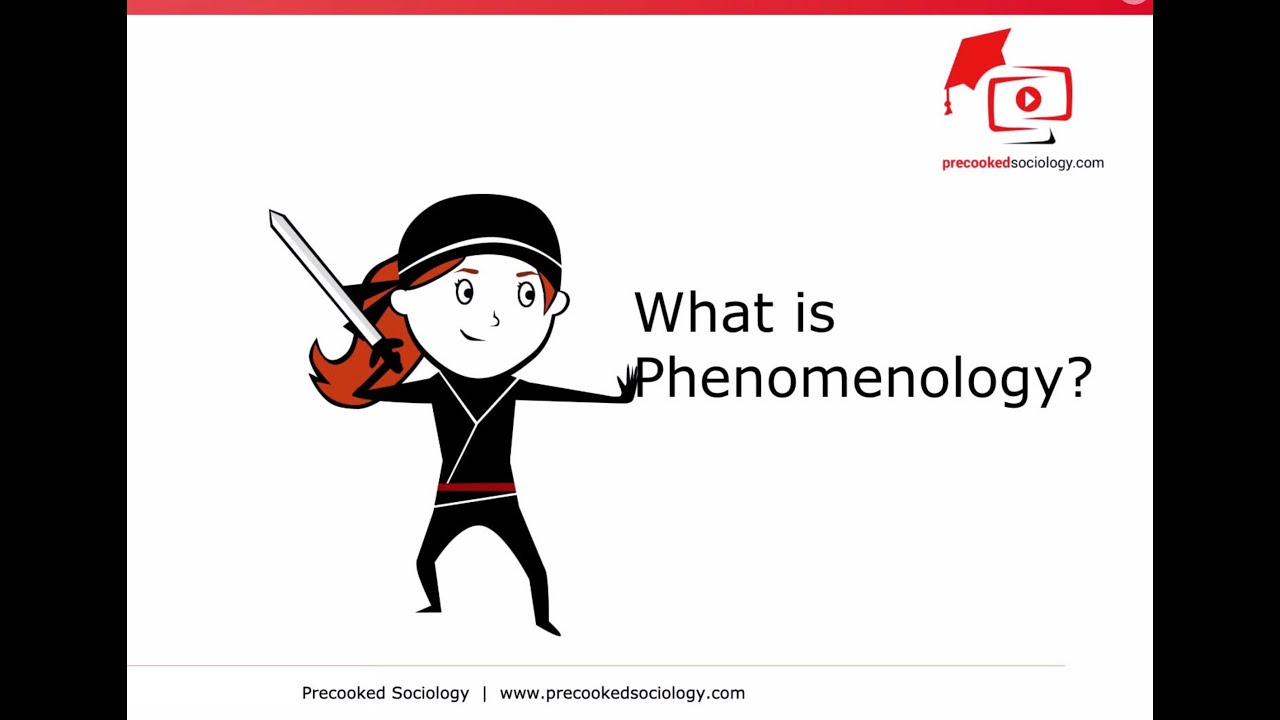 What is Phenomenology? Sociological Theory and Methods - A-Level GCSE Sociology Videos - Schutz