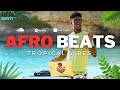 🌿  A__frobeat 🌿  Afrobeat Mix 2024 ~ The Best of Afrobeat 2024 by OSOCITY