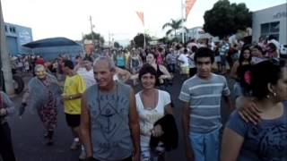 preview picture of video 'Bloco da Minhoca 2014 (José Bonifácio-SP)'