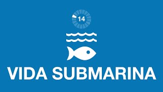 14 Vida submarina