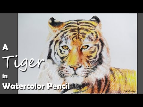 Mountains and Pine Tress Watercolor Pencil Landscape Drawing | steps to follow