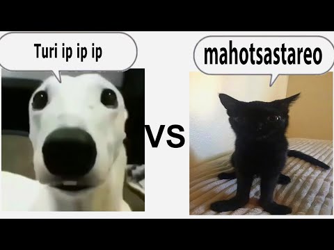 turi ip ip ip vs mahotsastareo (Epic Rap Battle)