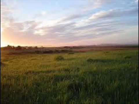 Կոտրած սրտով Քեզ եմ գալիս       /Երգ865/