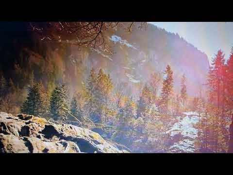 bekali bekhudi bebasi Song