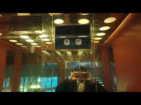 Dover Shoctor Hydraulic Elevator at Citadel Theatre