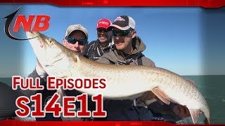 Season 14 Episode 11:  Burning Big Rubber for Michigan Muskies