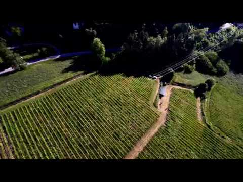 Cantina Romanese - Here we are