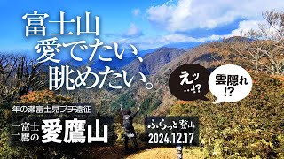 【登山】一富士二鷹の愛鷹山! 駿河湾眺めて 富士山愛でて 夕焼け赤富士にパワーもらって。