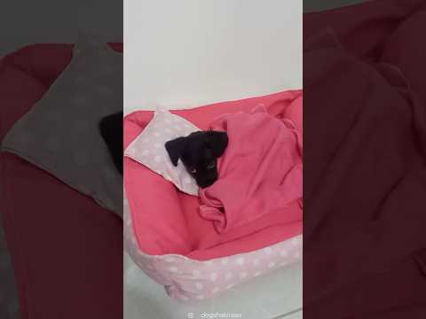 She just tucked herself in&hellip; I can&rsquo;t 😭❤️