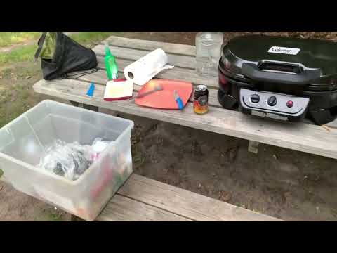 Coleman Road Trip 225 Table Top Grill - In Field Review - RT225TT