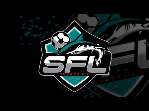 Mascot Logo Design In Illustrator Learn How To Create Professional Mascot Logo Design