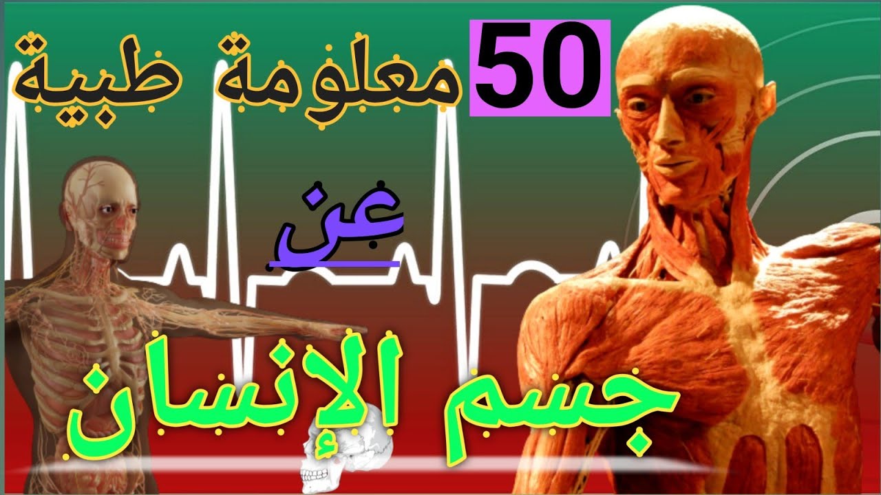50 معلومة عن جسم الانسان .