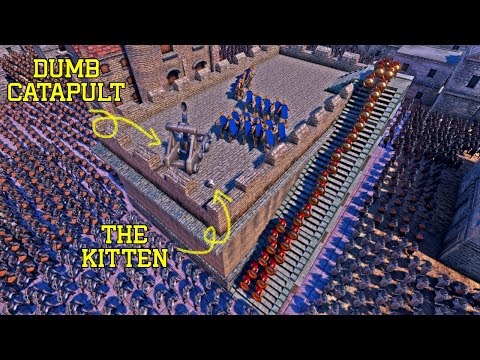 Can Spartans & Knights Rescue the Kitten from Templar?  - Ultimate Epic Battle Simulator UEBS