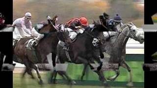 EL MORO DE TEPEHUANES